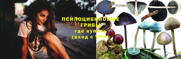 соль ск Богданович