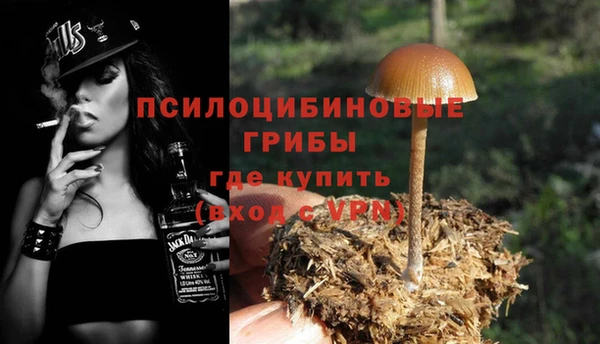 гашик Богородицк