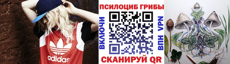 Галлюциногенные грибы ЛСД  Сретенск 